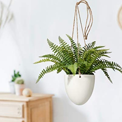 Serene Spaces Living Small Boston Fern in Hanging Pot, Fake Hangin...