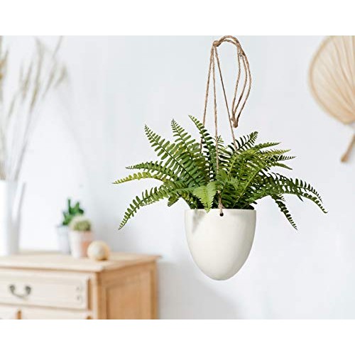 Serene Spaces Living Small Boston Fern in Hanging Pot, Fake Hangin...