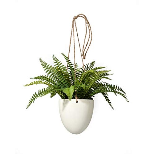 Serene Spaces Living Small Boston Fern in Hanging Pot, Fake Hangin...