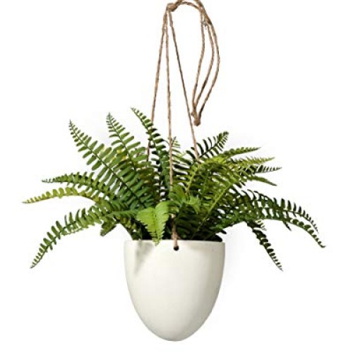 Serene Spaces Living Small Boston Fern in Hanging Pot, Fake Hangin...
