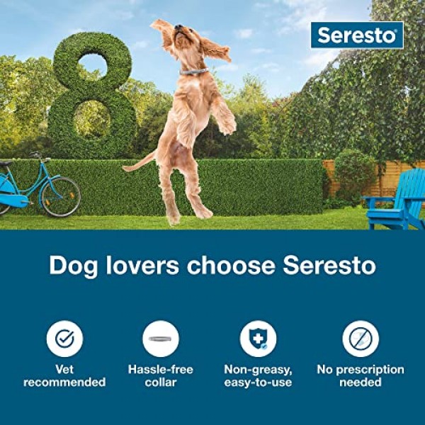 Seresto Large Dog Vet-Recommended Flea & Tick Treatment & Preventi...