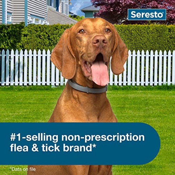 Seresto Large Dog Vet-Recommended Flea & Tick Treatment & Preventi...