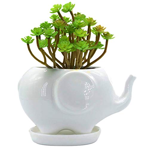 Sersberg 3.94 Inch Round Ceramic Plant Saucer for Succulent Plante...