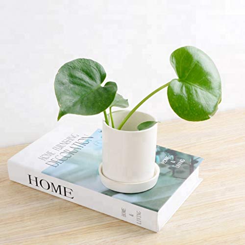 Sersberg 3.94 Inch Round Ceramic Plant Saucer for Succulent Plante...