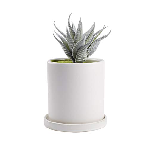 Sersberg 3.94 Inch Round Ceramic Plant Saucer for Succulent Plante...