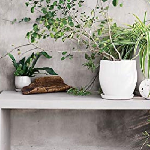 Sersberg 3.94 Inch Round Ceramic Plant Saucer for Succulent Plante...