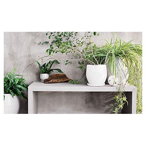 Sersberg 3.94 Inch Round Ceramic Plant Saucer for Succulent Plante...