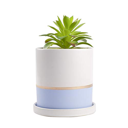 Sersberg 5.5 Inch Round Ceramic Plant Saucer for Succulent Planter...