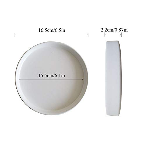 Sersberg 6.1 Inch Round Ceramic Plant Saucer for Succulent Planter...