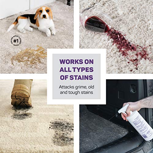 Folex Instant Carpet Stain Remover 32 Oz. Set of 2 Carpet And Up...