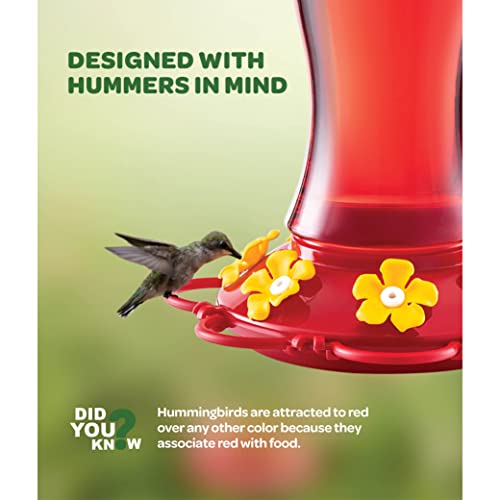Hummingbird Feeder 30 oz Set of 2 Plastic Hummingbird Feeders fo...