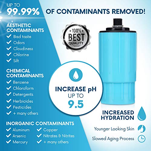 Seychelle pH20 Alkaline Water Filter Bottle Replacement - 100 Gall...