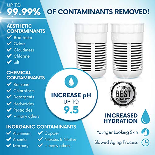 Seychelle pH2O Alkaline Water Filter Pitcher Replacement - 2 Pack