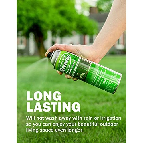 Seymour 20-602 Grass and Shrub Renew Spray Paint, Pristine Green ...