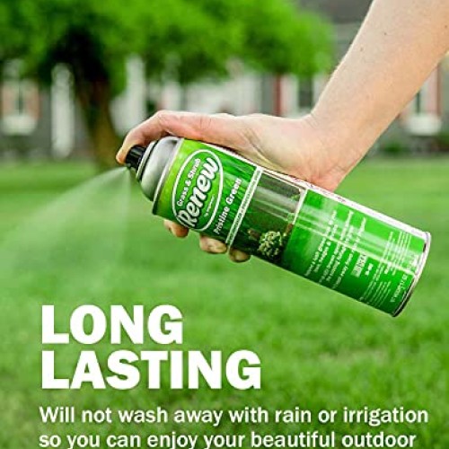 Seymour 20-602 Grass and Shrub Renew Spray Paint, Pristine Green ...