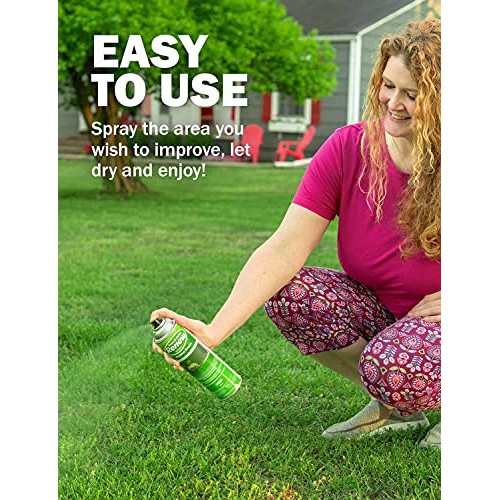 Seymour 20-602 Grass and Shrub Renew Spray Paint, Pristine Green ...