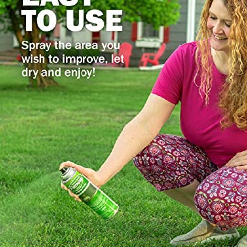 Seymour 20-602 Grass and Shrub Renew Spray Paint, Pristine Green ...
