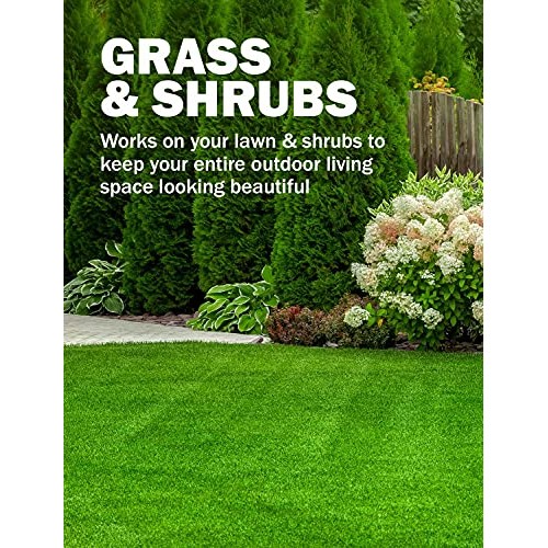 Seymour 20-602 Grass and Shrub Renew Spray Paint, Pristine Green ...
