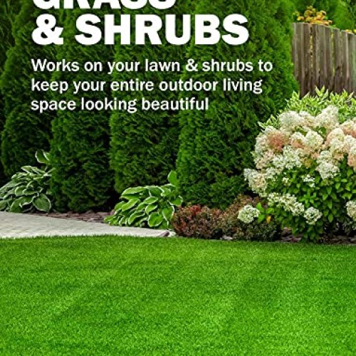 Seymour 20-602 Grass and Shrub Renew Spray Paint, Pristine Green ...