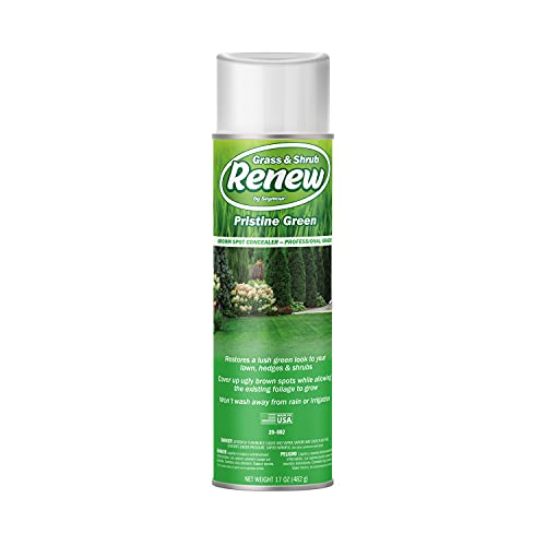 Seymour 20-602 Grass and Shrub Renew Spray Paint, Pristine Green ...