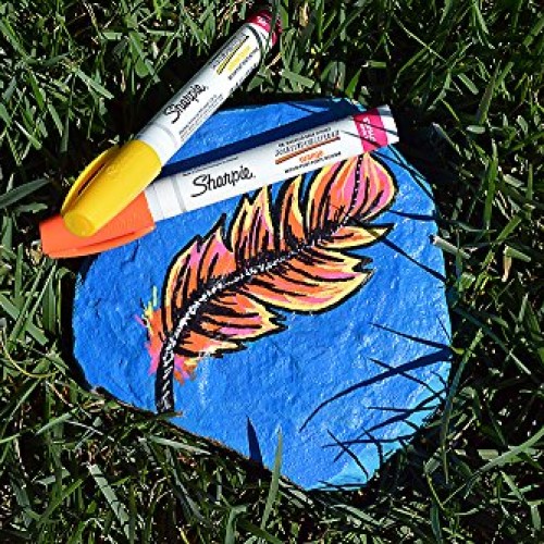 Sharpie Oil-Based Paint Marker, Medium Point, Pink, 1 Count - Grea...