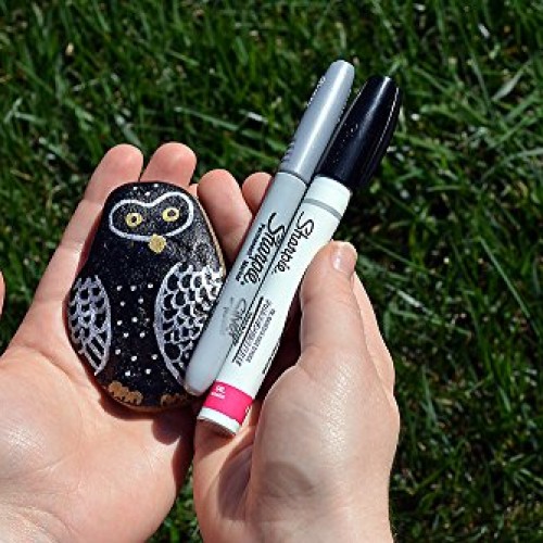 Sharpie Oil-Based Paint Marker, Medium Point, Pink, 1 Count - Grea...