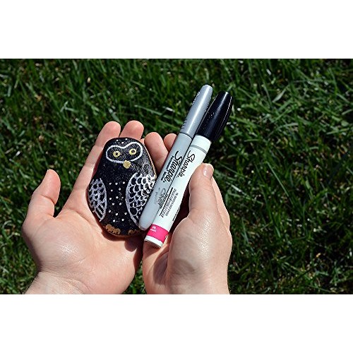 Sharpie Oil-Based Paint Marker, Medium Point, Pink, 1 Count - Grea...