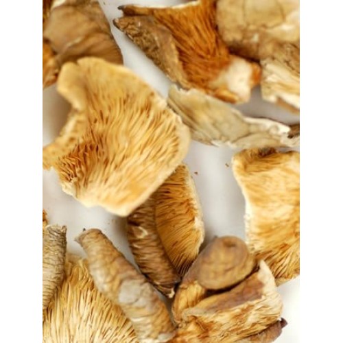 Dried Oyster Mushrooms - 1 Oz. Bag - Dehydrated Edible Gourmet Ple...