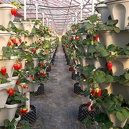 Stackable Garden Planter, Indoor Outdoor Vertical Planter Set - Se...