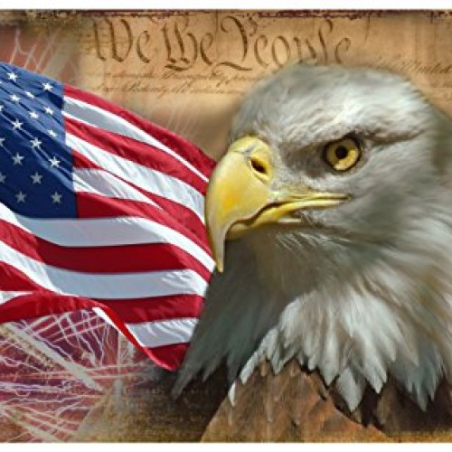 ShineSnow USA Vintage American Flag Bald Eagle 3x5 Feet Flag, Poly...