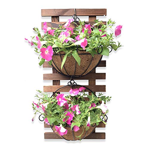 Wall Hanging Planter - Hanging Baskets for Plants, Wall Planter wi...