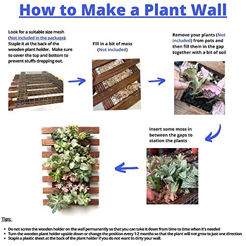 Wall Planter – Hanging Planter for Indoor Plants, Plant Stand, Air...