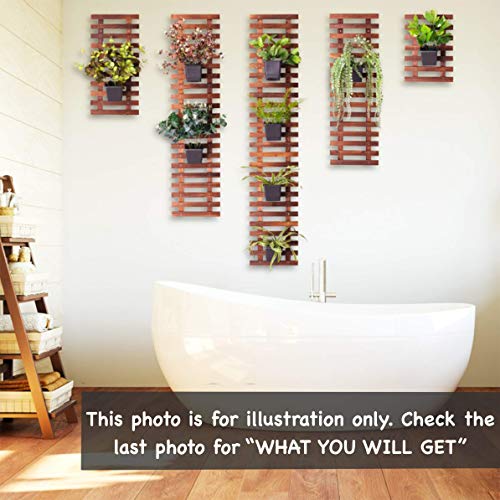 Wall Planter – Hanging Planter for Indoor Plants, Plant Stand, Air...