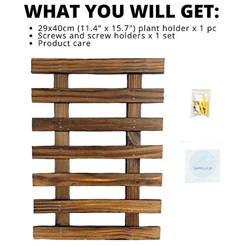 Wall Planter – Hanging Planter for Indoor Plants, Plant Stand, Air...