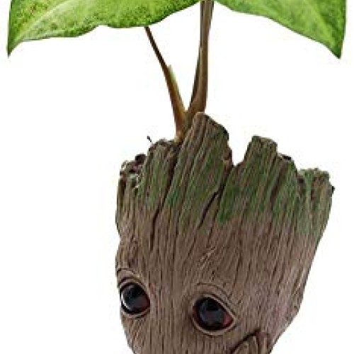 SoB Baby Groot Pen Holder, Flowerpot Perfect for Tiny Succulent Pl...