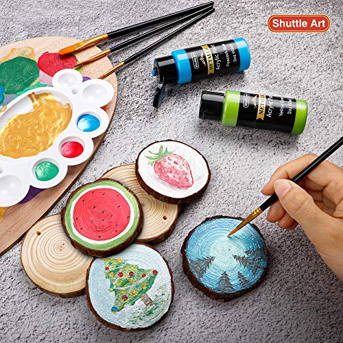 Metallic Acrylic Paint Set, Shuttle Art 20 Colors Metallic Paint i...