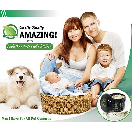 Carpet Deodorizer, Pet Odor Eliminator, Vacuum Deodorizer & Room F...