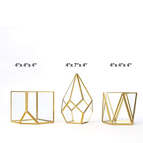 Simply Elegant 3pc Set 4 Mini Glass Geometric Terrarium Containe...