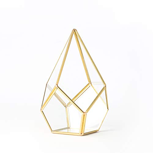 Simply Elegant 3pc Set 4 Mini Glass Geometric Terrarium Containe...