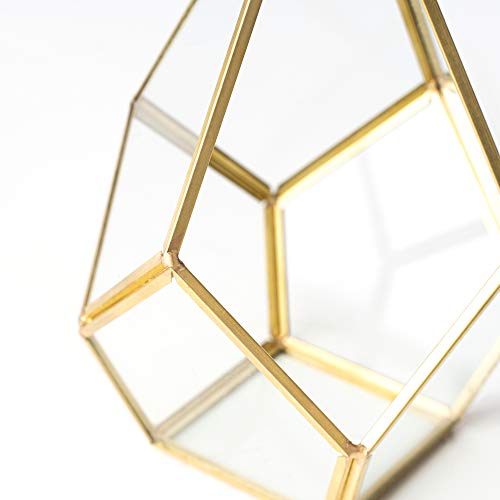 Simply Elegant 3pc Set 4 Mini Glass Geometric Terrarium Containe...