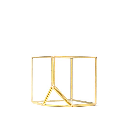 Simply Elegant 3pc Set 4 Mini Glass Geometric Terrarium Containe...