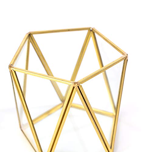 Simply Elegant 3pc Set 4 Mini Glass Geometric Terrarium Containe...