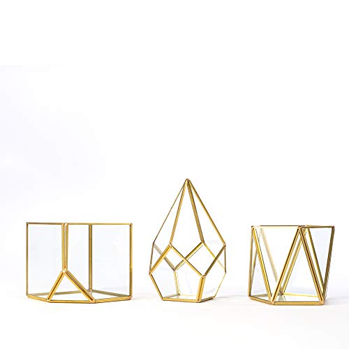 Simply Elegant 3pc Set 4 Mini Glass Geometric Terrarium Containe...