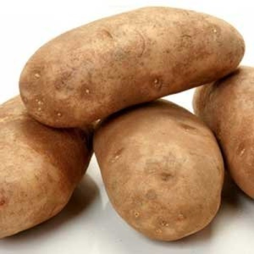 Certified Organic Seed Potatoes: Canela Russet Seed Potato 2 Lbs.