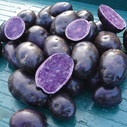 Simply Seed - Purple Majesty - Naturally Grown Seed Potatoes - 5 L...