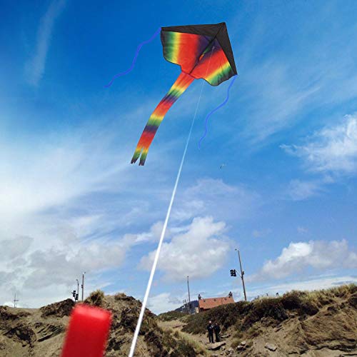 SINGARE 2 Pack Rainbow Delta Kite, Kites for Kids Adults Easy to F...