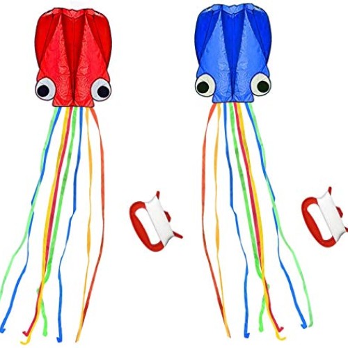 SINGARE Large Octopus Kites, Long Tail Beautiful Easy Flyer Kites ...
