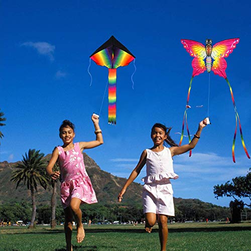 SINGARE Large Rainbow Delta and Butterfly Kites 2 Pack Easy Flyer ...
