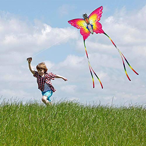 SINGARE Large Rainbow Delta and Butterfly Kites 2 Pack Easy Flyer ...
