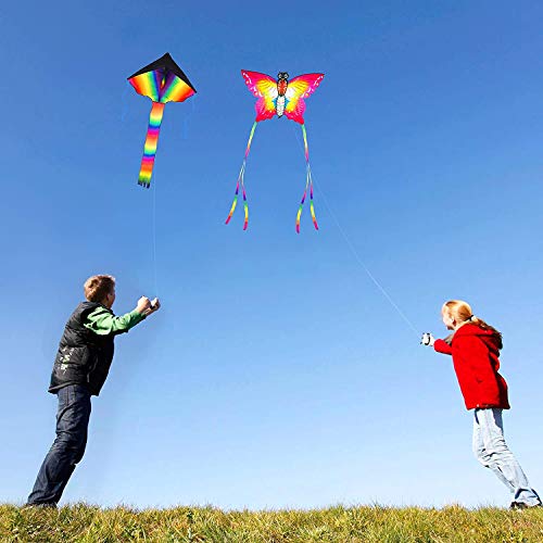 SINGARE Large Rainbow Delta and Butterfly Kites 2 Pack Easy Flyer ...